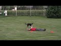 Xeni und Holly - Discdogging - 4. Film