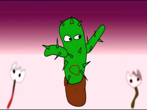Vídeo