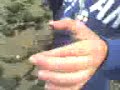 Thumbnail #2