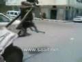 Donkey stuck