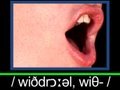 English Pronunciation Lesson - WITHDRAWAL - #345- 発音練習 - 学英语