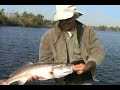 Amazing Adventures in Southwest Florida part 2 Amazing Adventures in Southwest Florida part 2