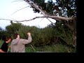 Kent pullin tree