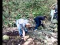 Amici in allegria