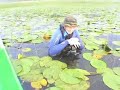 Wild Wonders Lake Skadar Mission