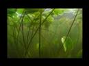Wild Wonders Lake Skadar Mission