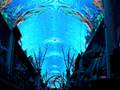 Las Vegas - Fremont Street Experience Show
