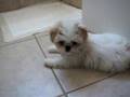 Mika On Her First Day At Home