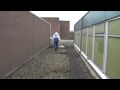 50 Sint in NOS Journaal