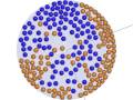 videos de 200particles-topB