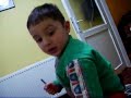 sivri sinek..2