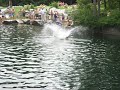 jumping off a tree