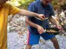 Il salto della frittata Il salto della frittata