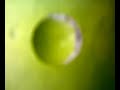 fionda cobra 2 potentissima fionda cobra 2 potentissima