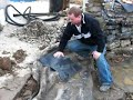 Redoing a Pond