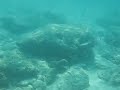 MVI_7755.AVI MVI_7755.AVI