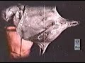 SlipKnot - Wait And Bleed