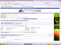 How to download Torrent Files