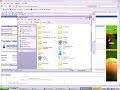 how to download torrent files