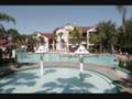 Afforable Walt Disney World Vacation