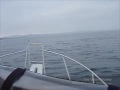 My first iMovie with Canon TX1-Dana Point Harbor