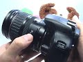 Canon XSi/450D: Manual Focus