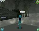 Toontown-How to get to the hiden castle