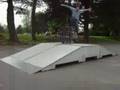 paul 6 deck ollie