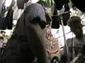 PLoW (UNiTed) - W.P.G. & MaRTiN LiVe @ RoCkiN ReX YNKRs