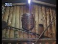-descoberta-briteiros-47.html