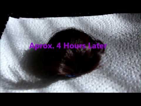 how to dye bjd