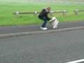 maisie 08 stafford 1
