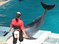 Marine Show in Kanagawa Pref.