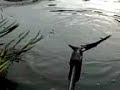carp fishing at lodge pond/ alice holt carp fishing at lodge pond/ alice holt