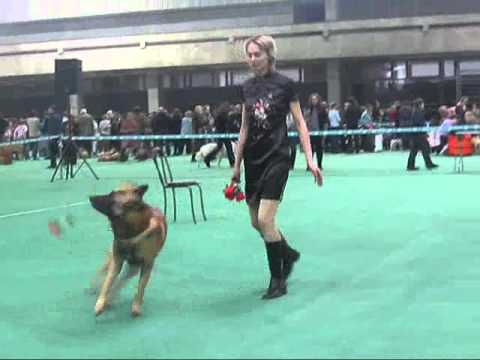 Dog Dance: Flint 12.02.2011