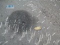 شام-حمص-باب السباع اصلاحات بشار21-7-2011 ج 18