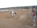 Rafter 7r 386 Scalco Bucking Bulls