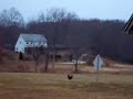 rooster chase sup yeah nice do it TJ Ashton rooster chase sup yeah nice do it TJ Ashton