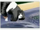 Thumbnail #1