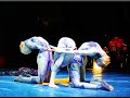 FLEXIBILIDADE - feira de ci�ncias 2008