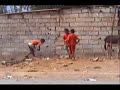 AMG TJR FIdeLFilm la ville d'autre mots من اخراج هشام مداحي فيلم وثائقيcourt metrage + فيلم قصير يرصد مأساة دور صفيح باولاد امبارك بئر الرامي القنيطرة kenitra + maroc + bir rami choha chouhaبالابداع نصنع من الليمون شرابا حلواعندما تصبح لحضات التعاسة ..احساس واقعي منبود.. تصبح اجمل المشاعر عند الابداع..و  عندما ينكسر الحلم  البشري على صخرة الواقع يكون اكتر الما .. لكنه يتحول في الابداع الى مجال فسيح للبطولة ..ومهد للاسطورة ..عندما يتحول الواقع المرير الى  الة لسحق بعض من ثنايا الامل ..يتحول في الان نفسه عبر محراب الشاشة الكبيرة الى فن سابع الصورة لغة جامحة ..موحية و ذات دلالات عميقة..تعبر عن اغوار الذات المنكوبة  وتبديها في ابشع صورها..او في ازهى حلتها في فيلم / المدينة ..عبارات اخرى.. صور مكوناتها قليلة لكنها مشحونة بايحاءات و الغاز كبيرة  قد تحير بال المشاهد مند البداية  وتدفعه الى تمعن الصور لكن من زاوية نظر مختلفة .زاوية البؤس و التهميش و الاقصاء...ليس الغموظ و الرمز وحدهما مؤثران حقيقيانفي لغة السينما.. بل هناك الصورة المباشرة التي تنقل الواقع الصادم بمرارته اكتر حدة..و اكتر تاثير.. يضيع الانسان ...عندما تمس كرامته .عندما تنعدم لقمة عيشه..و قبر حياته ..و بعد ذلك قد ينتهي عندما ينصهر في غيابات الانحراف .. هذا ما تبديه مشاهد الفلم.. شكرا للصورةتنمو البنايات كما تريد..ليس كما نريد نحن..تتسع..تتقلص وقد تتهدم..و نحن.ايضا لا نريد .المدينة كما نتماناها لم نتصورها لحد الان..غابت عن ارادتنا..فصرنا نحيا تحت رحمتها وقسوتها بل صرنا نحيا بارادتها..هناك اناس تبني المدن..اما هنا تبنينا المدينة..وتصنع منا افرادا واحياءا هامشيين ...في المدينة عبارات اخري تصادفك مشاهد قاسية بحدة....دجاجة بيضاء تقتات من ماء الصرف الصحي..دو لون اسود قاتم..اطفالا في عمر الزهور..يلعبون بابتسامات علي الشفاه وسط اكوام كبيرة من الازبال و الامراظ متربصة من حولهم..امهات عجائز يحملن بيدوزات كبيرة الحجم يبحتن عن ماء لم توفره الا بعض المجاري المتفجرة في وسط طريق سيا ر يعج بالسيارات المهترءة والعربات المجرورة..اطفالا عراة حفاة يقفزن بين الارض والسماء كفراشات بريئة..لم نر طفلا يحمل حقيبة في اتجاه المدرسة, بل شاهدناه يخلع نعليه ويجري حافيافي اتجاه بائع مثلجات علي دراجة هوائية يستجديه..كان مشهدا صارخا بصمته..خد نعلي واطفأ عطشي بقطعة ثلج باردة.. هكذا صارت مشاهد الحرمان القاهر اكتر صدقا على الشاشة منه في الواقع الذي نتواطؤ معه..وعندما تصير عيون الكاميرا اكتر تاملا وخشوعا من عيون بشرية لم تعد تدمع لاي حال ..توقض فينا براكن النقص والخصاص..وتشعرنا اننا امام واقع لا يرحم امام واقع يحتاج الى من يوقضه ويهمس في اذنه ان يوقف هذه السنفونية الحزينة...واننا بين بشر لا يحسون بغيرهم...في المدينة عبارات اخري..تجد نفسك عاجزا عن فهم ما يجري من حولك لان ما تراه ليس مالوفا ...شكرا للصورة