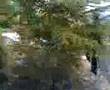 بلودان 3