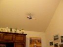 LAMA im Wohnzimmer
