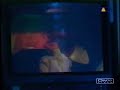The Kelly Family: French TV