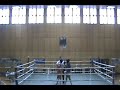 Muay Thai Bulgaria Muay Thai Bulgaria