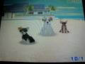 Nintendogs-Singing to the Nintendogs Record