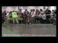 World Dog Show 2008 - French Bulldogs