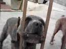 rodando al pueblo san antonio de los altos rodando al pueblo san antonio de los altos