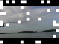 Tampa Bay Fishing West Coast Grandslam by Apollobeachsam Tampa Bay Fishing West Coast Grandslam by Apollobeachsam