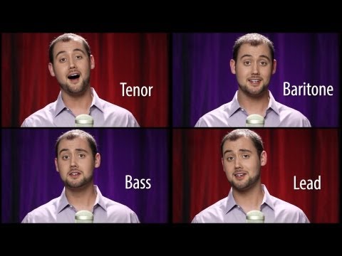 sdstever - A classy barbershop tribute for a classy lady. Original tag: